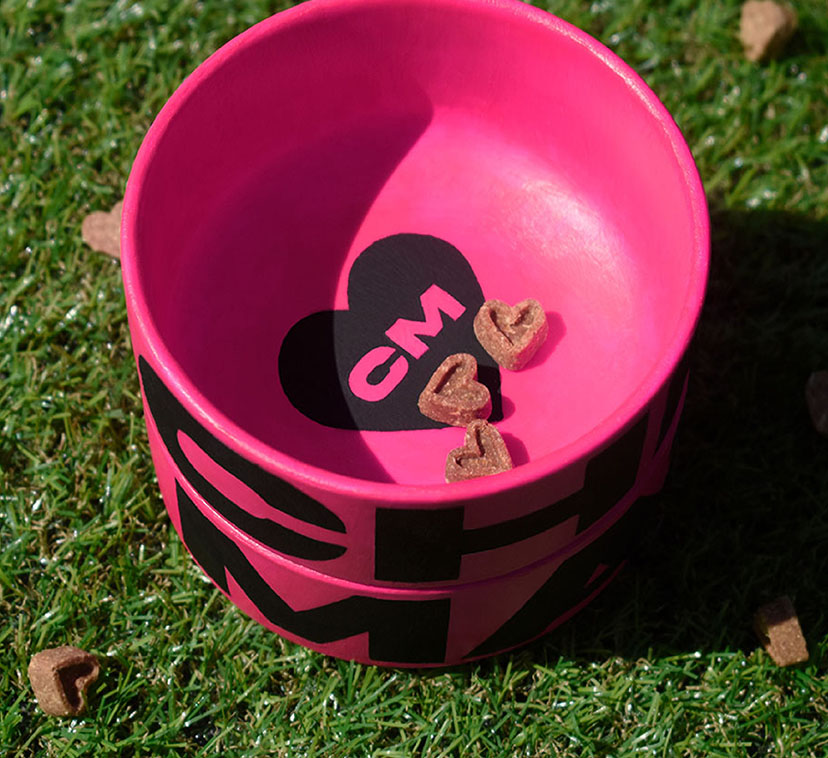 Custom Chewmate™ dog bowl photographed with dog treats on synthetic grass