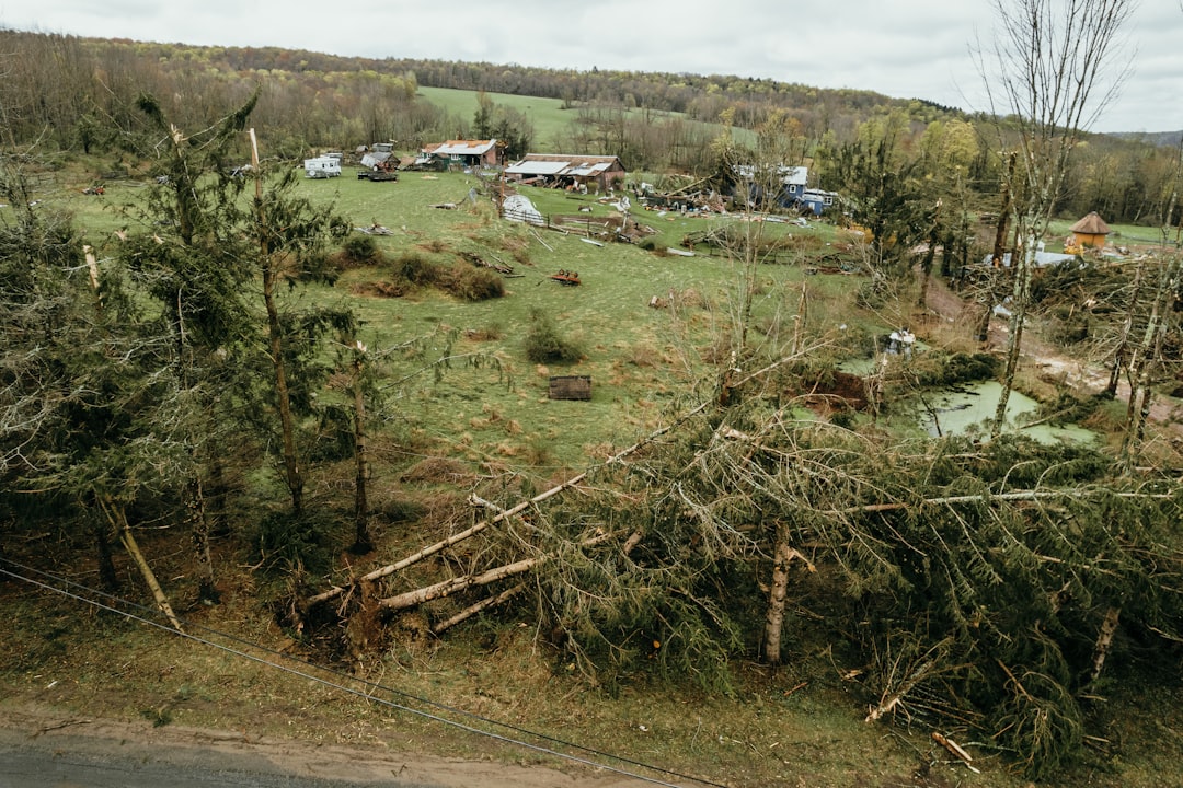 wind and hail damage - Home insurance for storm damage