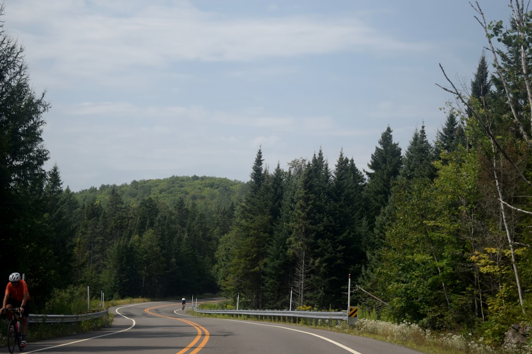 a rider's view of a winding road in Maine - motorcycle insurance maine a rider's view of a winding road in Maine - motorcycle insurance maine