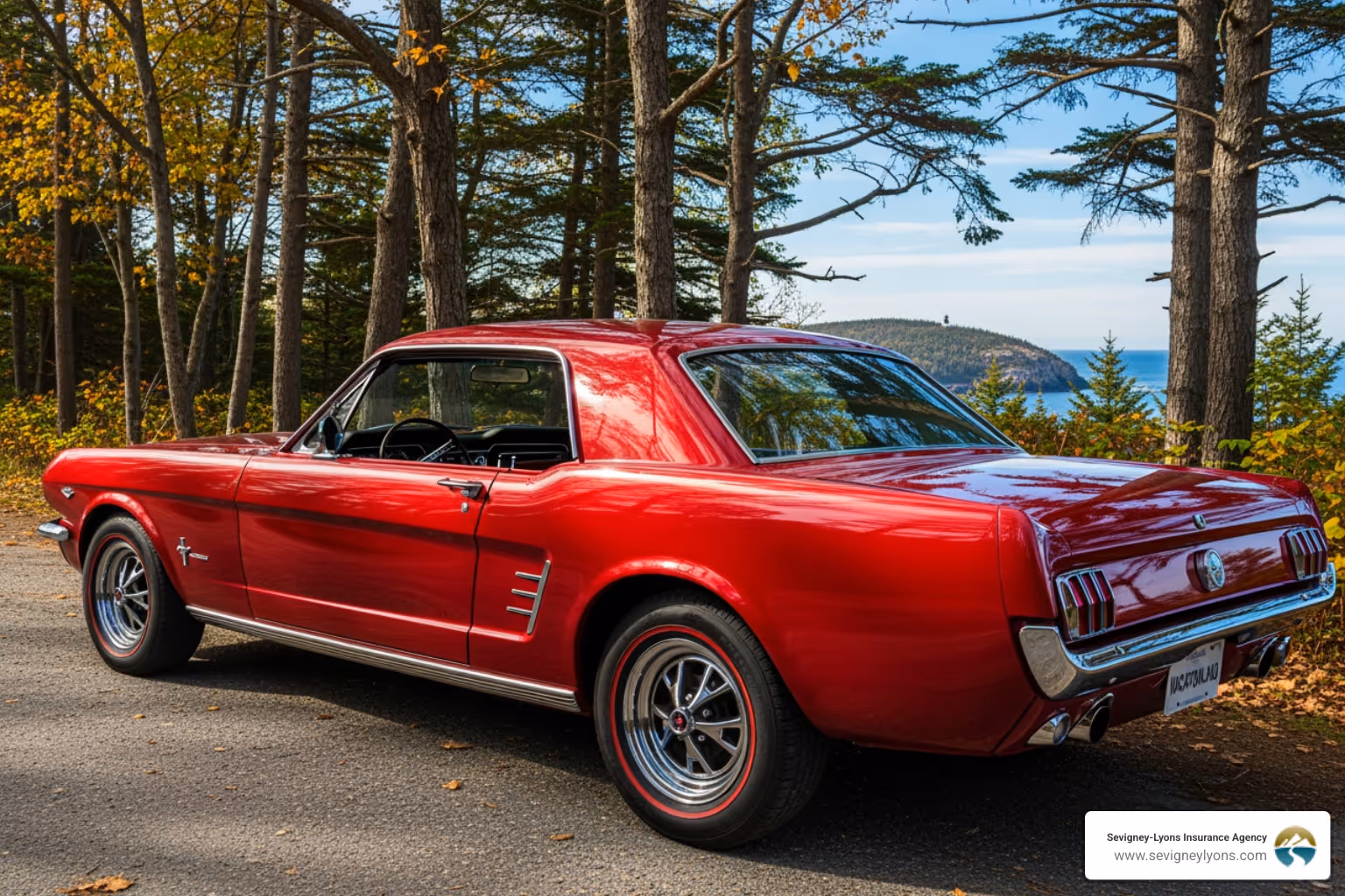 person comparing insurance quotes on a laptop - Car insurance Maine person comparing insurance quotes on a laptop - Car insurance Maine