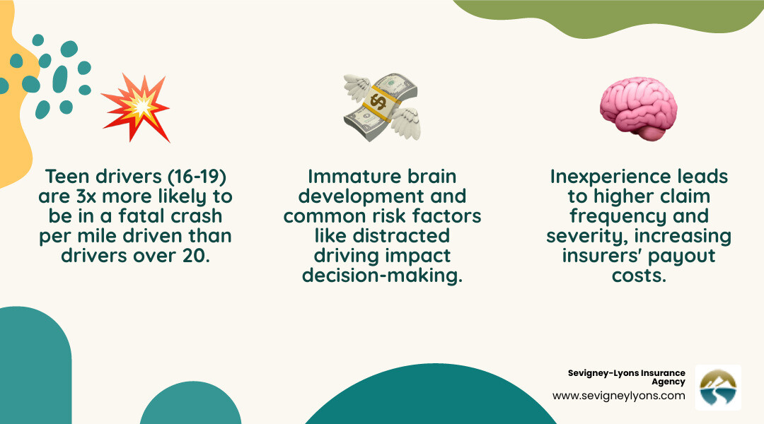 infographic showing three main cost drivers for teen insurance: inexperience leading to accidents, higher claim frequency and severity, and statistical risk of distracted driving and speeding - insurance rates for teenagers infographic 3_facts_emoji_nature