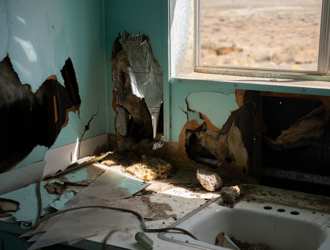 homeowner documenting water damage homeowner documenting water damage
