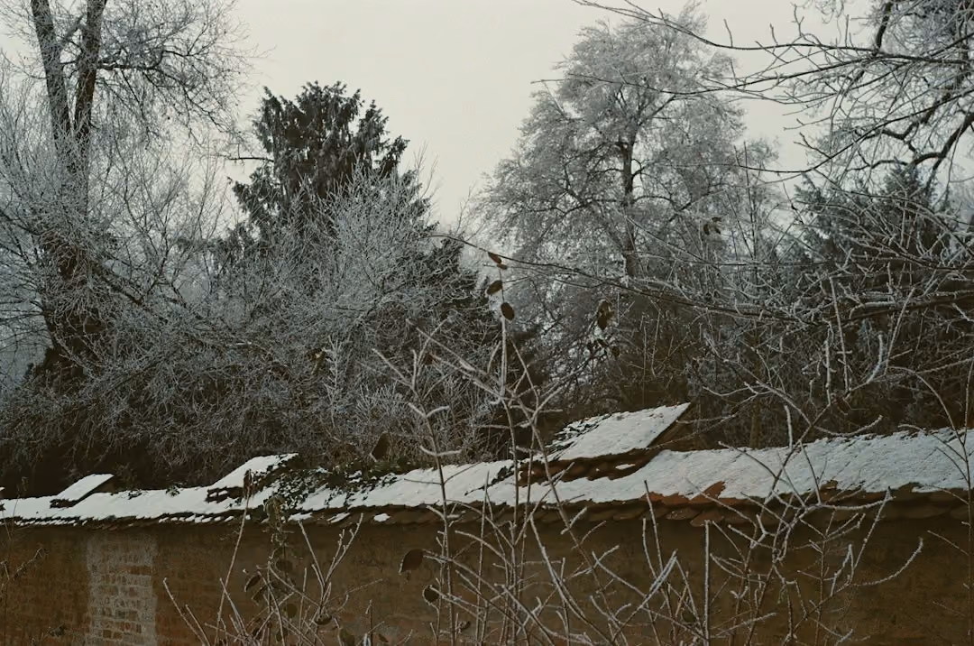 Winter scene with snow-covered roof in Maine - home insurance maine Winter scene with snow-covered roof in Maine - home insurance maine