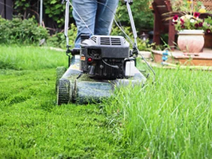 Person mowing a lawn with a push mower, contrasting freshly cut grass and tall uncut grass.