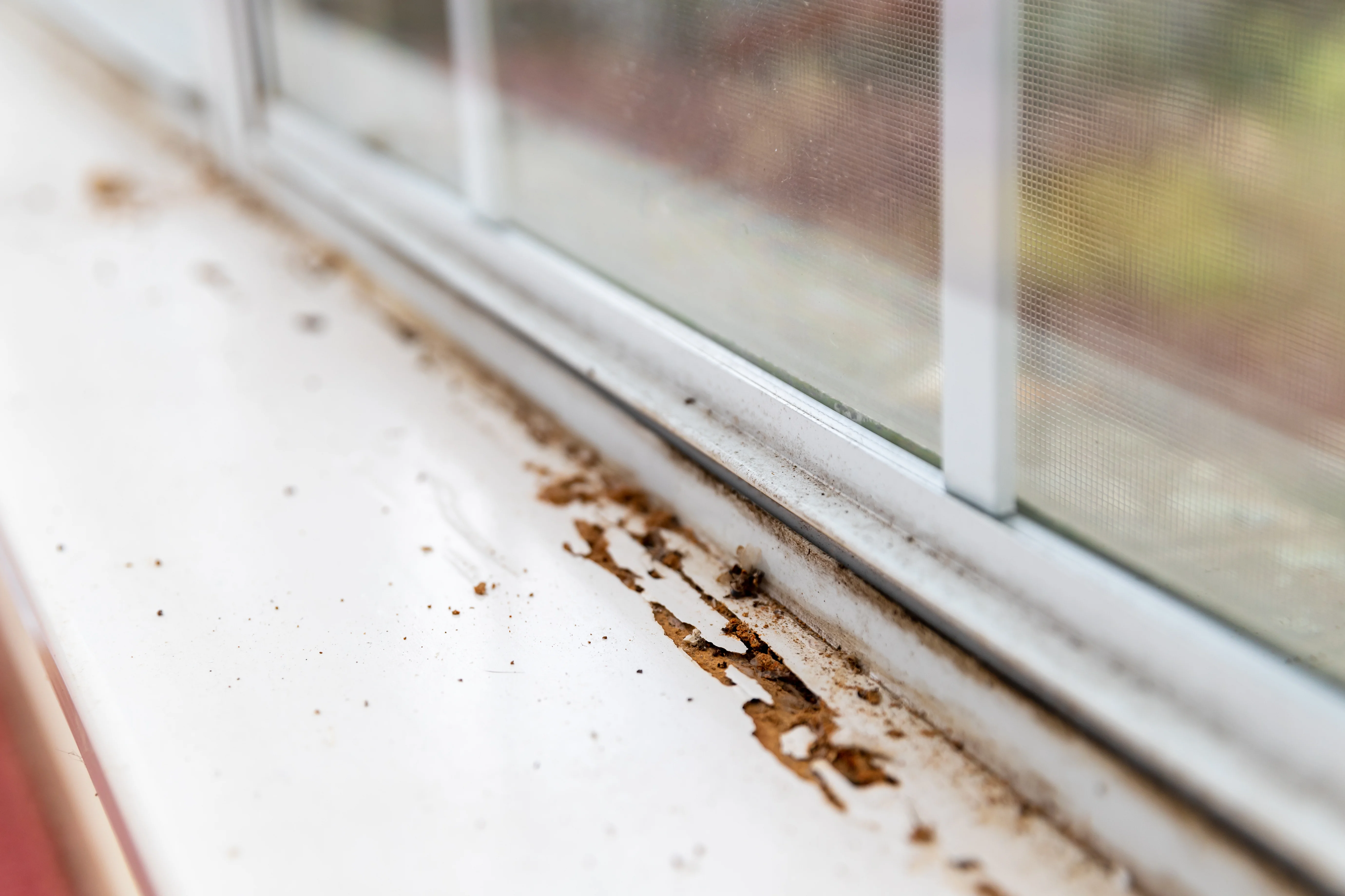 Close-up of a dirty white window sill with peeling paint and accumulated dirt along the edge near the window glass.