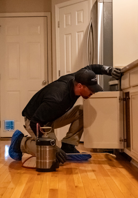 Residential Pest Control