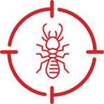 Targeted Application Icon
