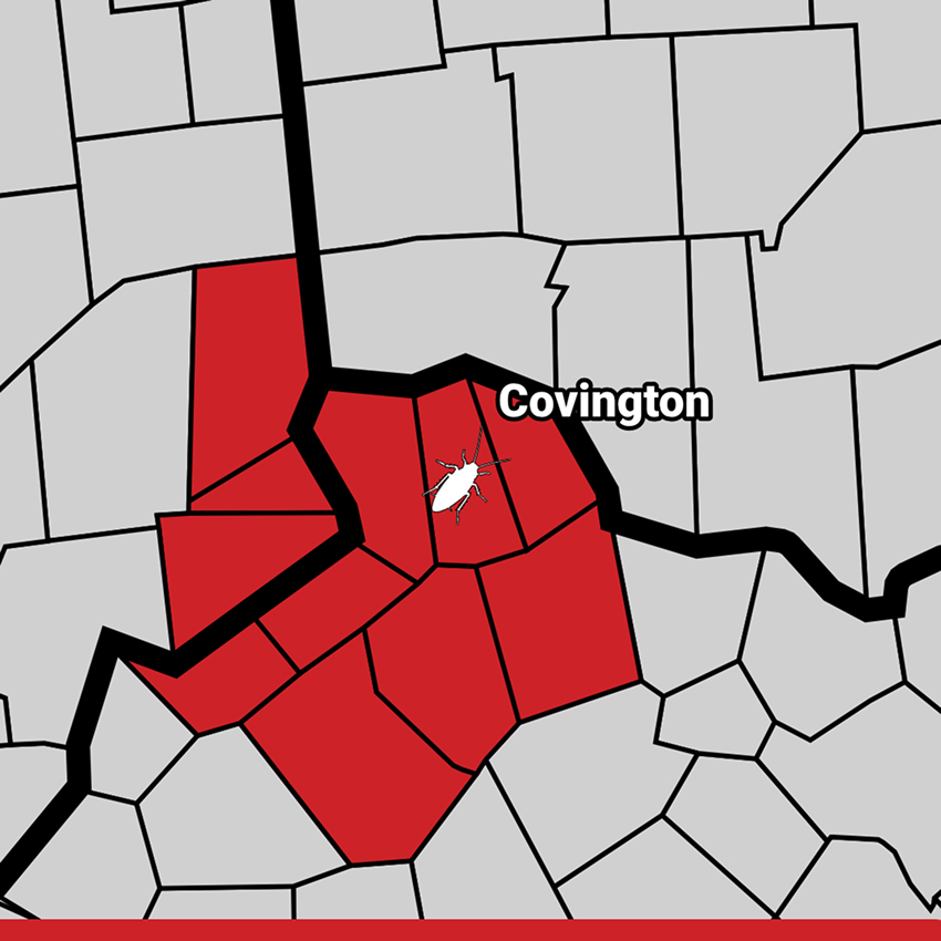 Covington map