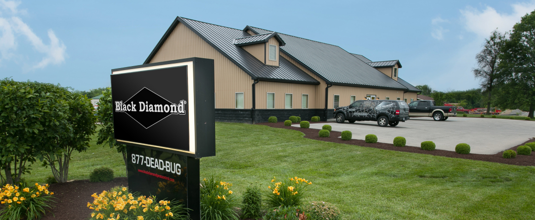 Black Diamond Pest Control HQ