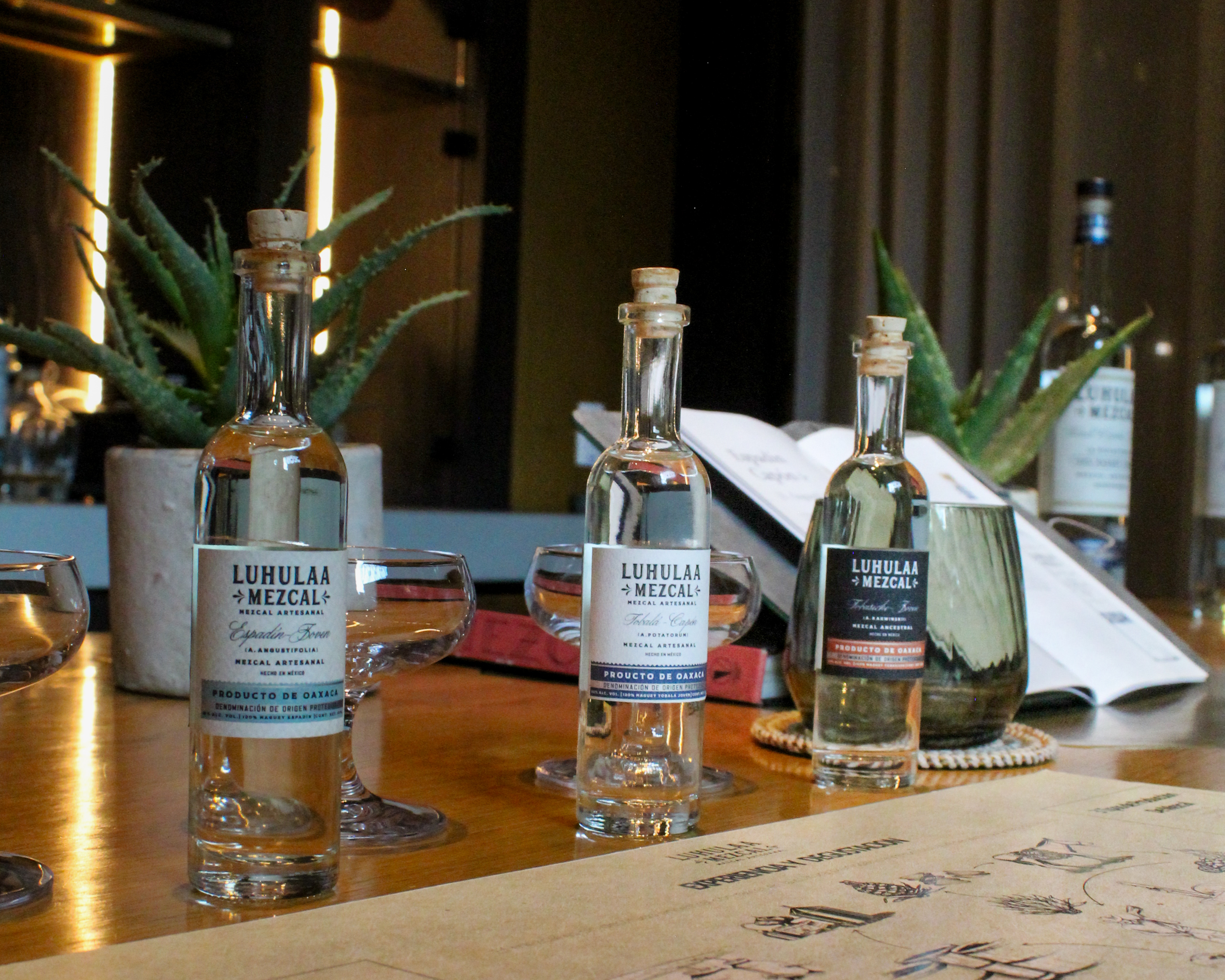 Tres botellas pequeñas de mezcal Luhulaa en una mesa de madera con copas de degustación y plantas suculentas al fondo.