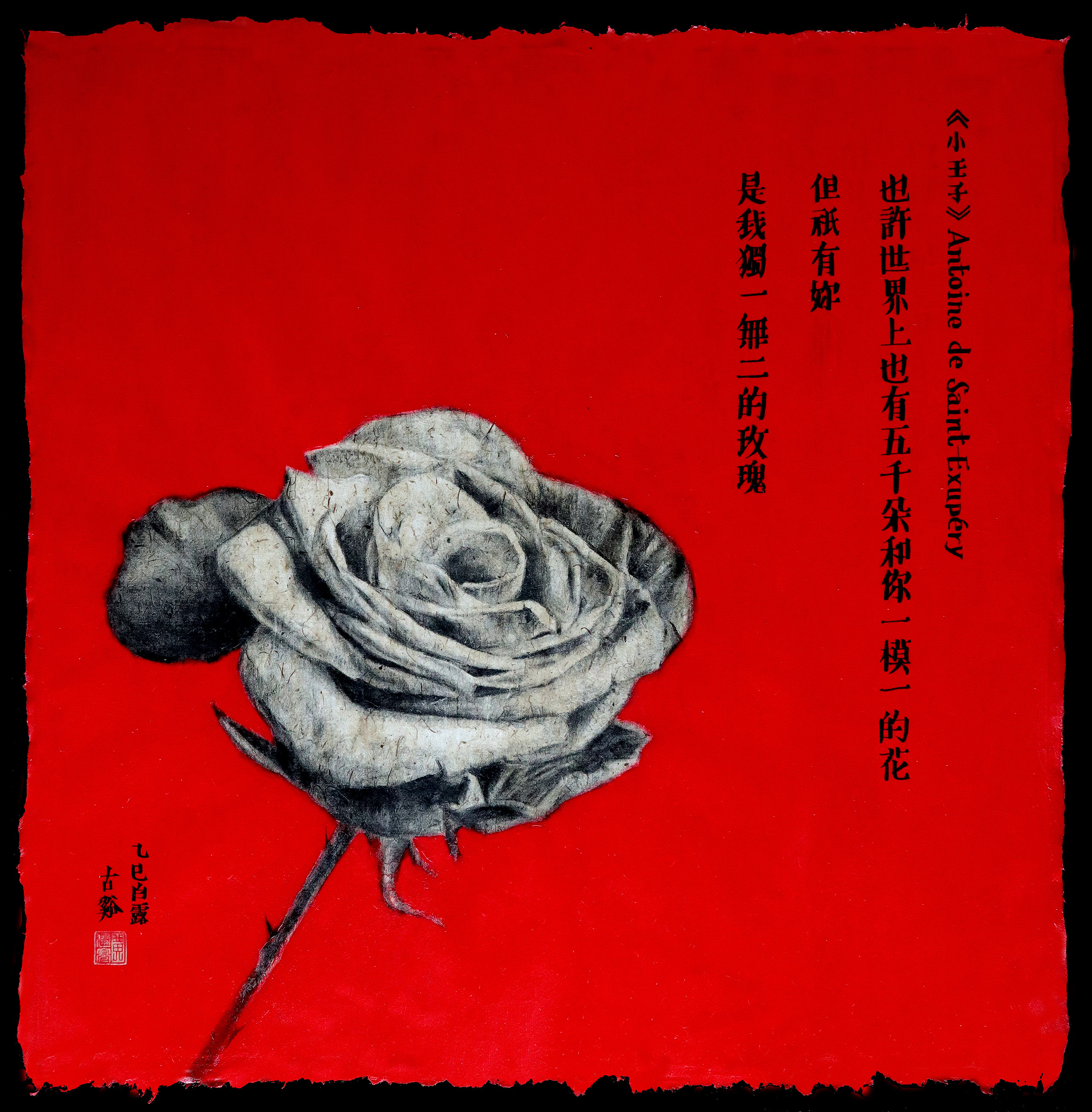 玫瑰 Rose