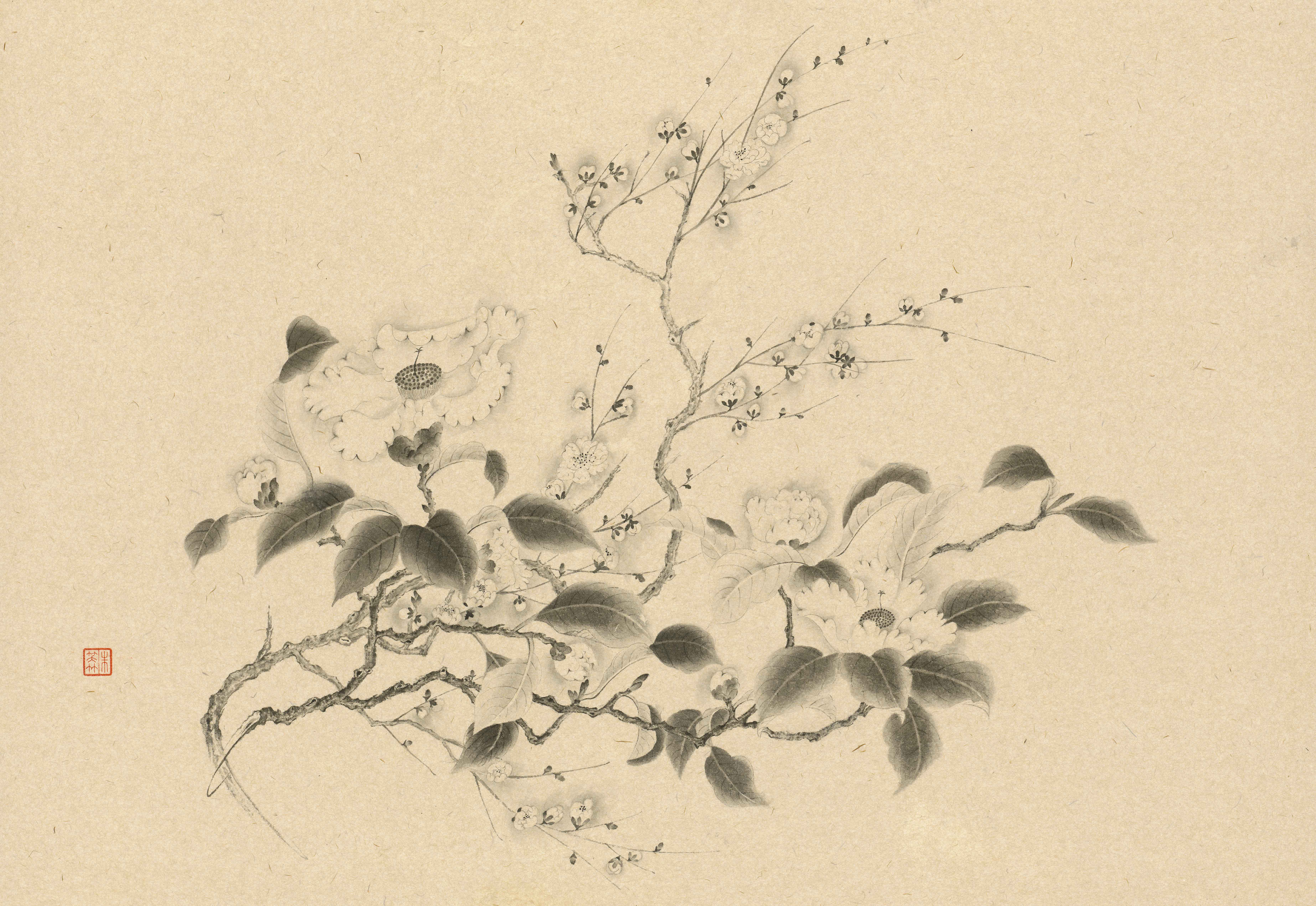 山茶梅花  Camellia with Plum Blossoms
