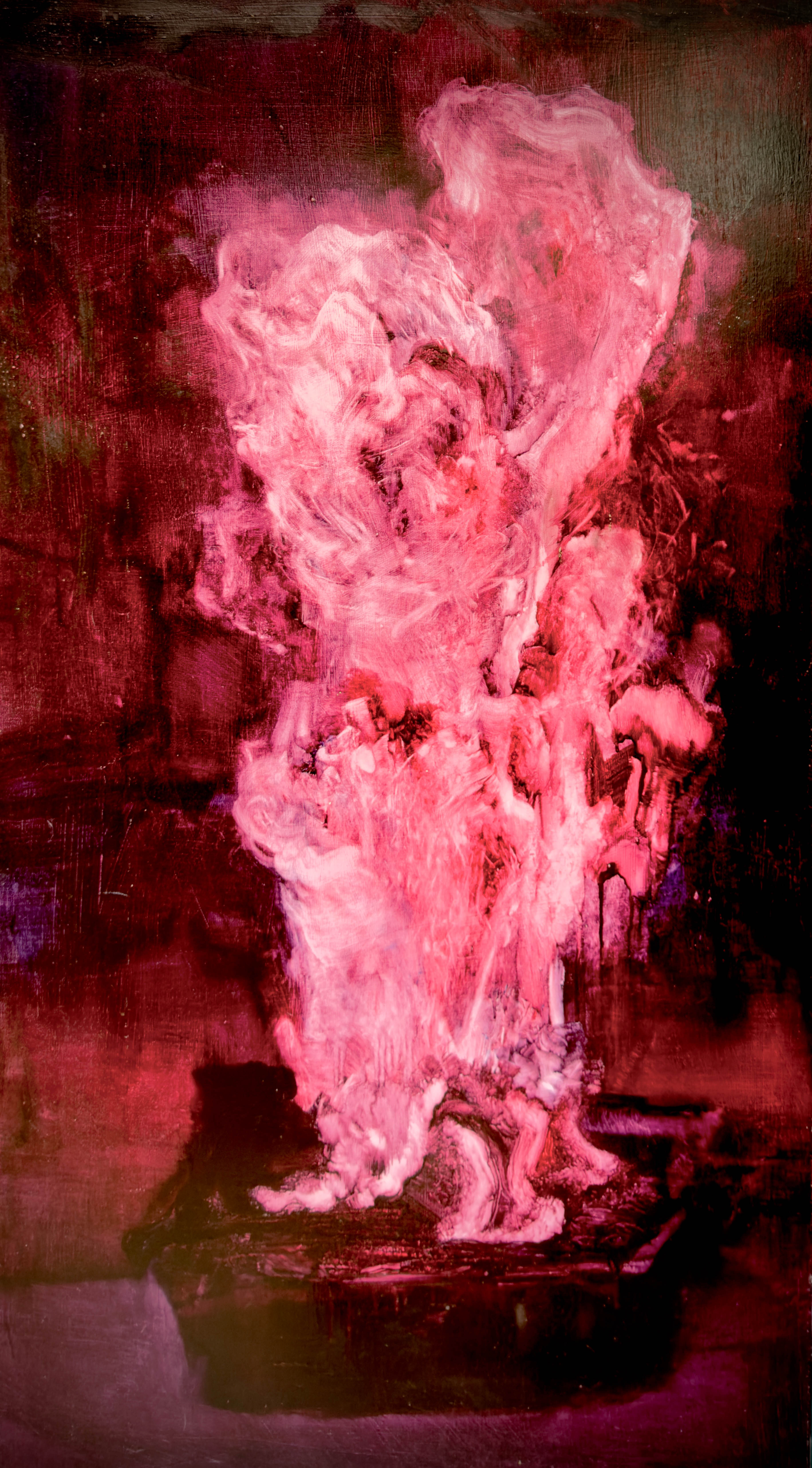 五花肉系列 — 肉山水 — 石的習作 The Streaky Pork Series - Flesh Landscape: Study of Rocks