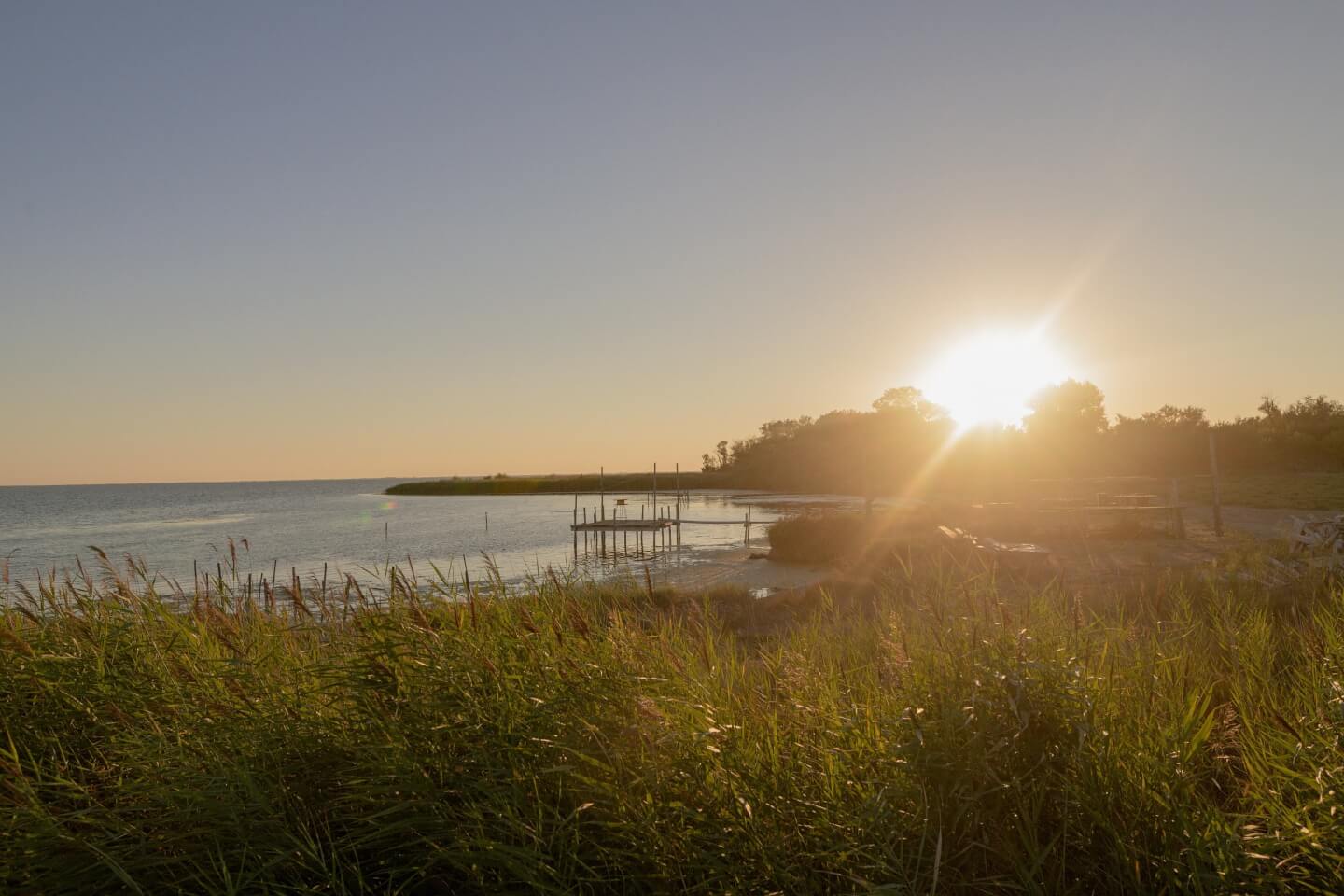 __wf_reserved_inherit