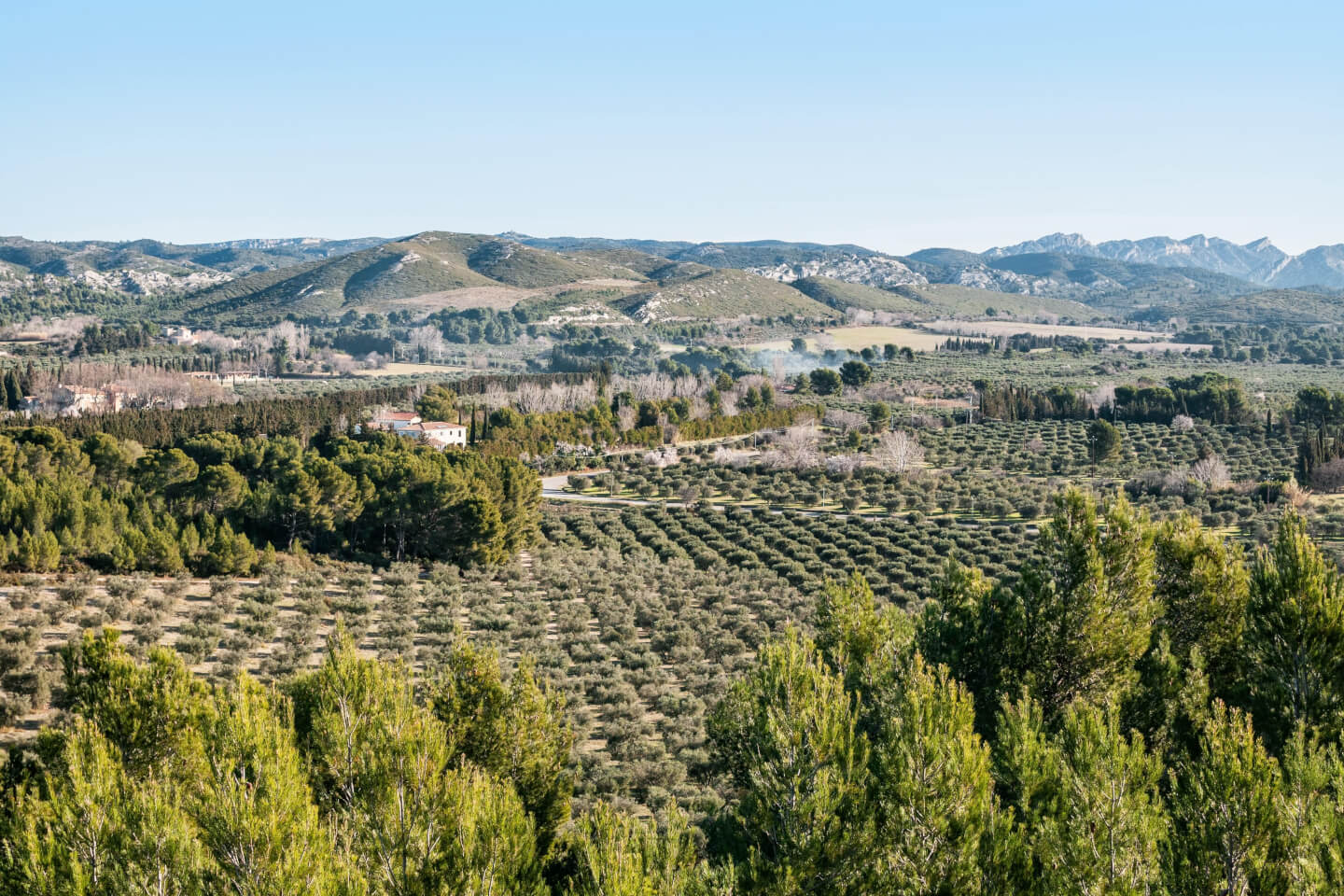 __wf_reserved_inherit