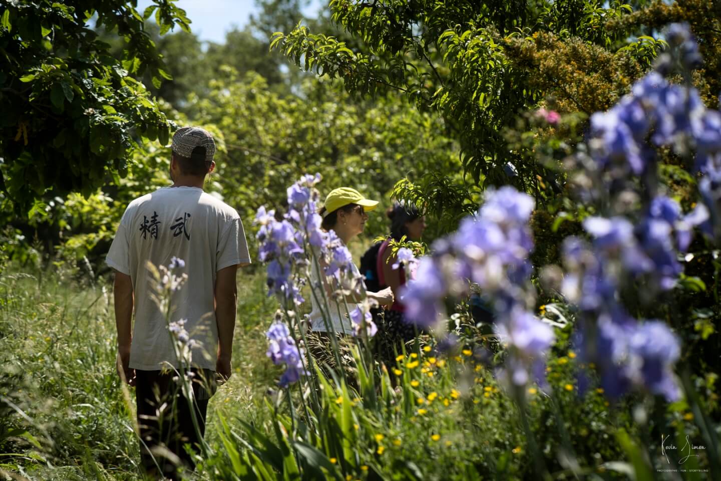 __wf_reserved_inherit