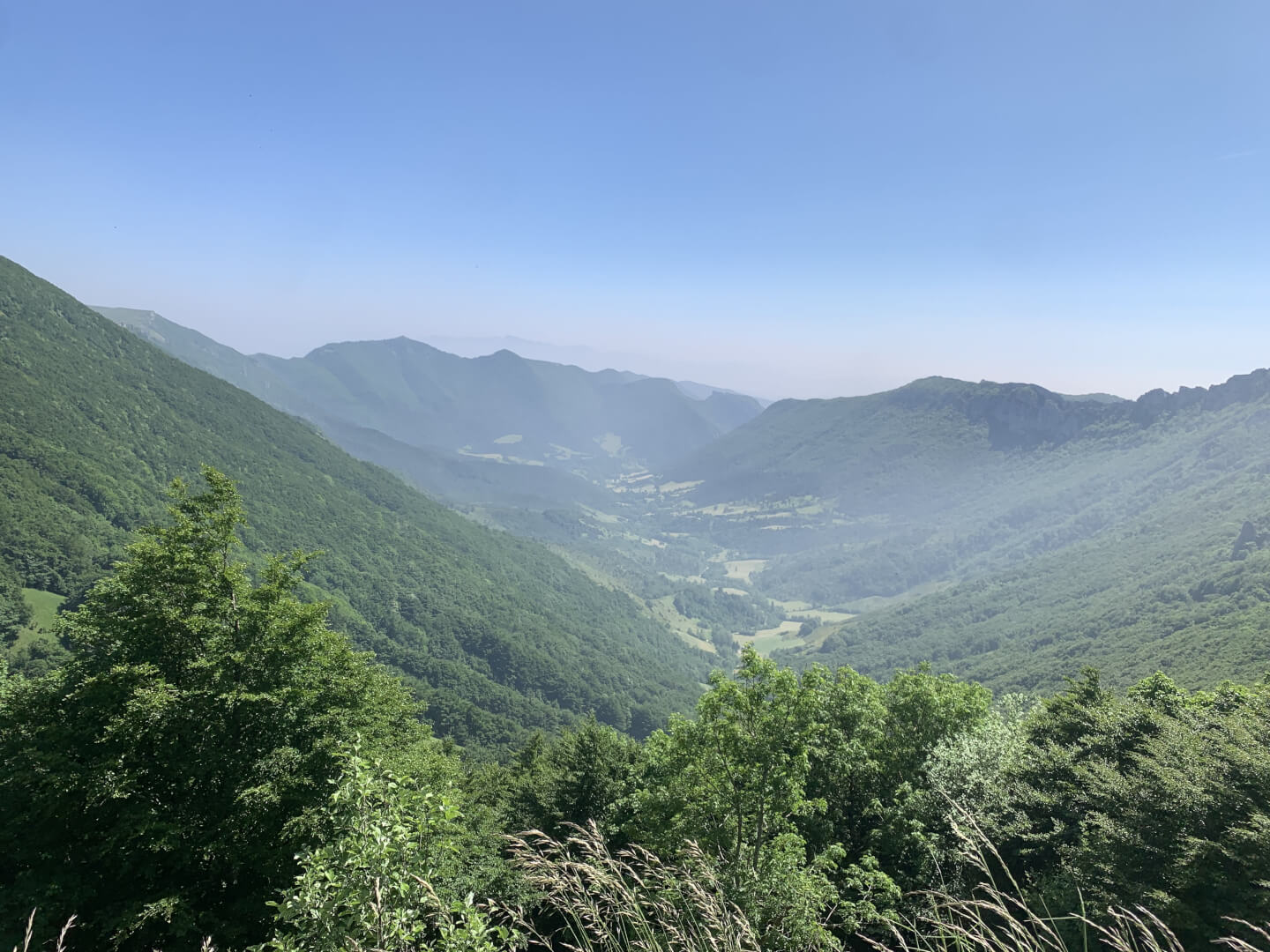 __wf_reserved_inherit