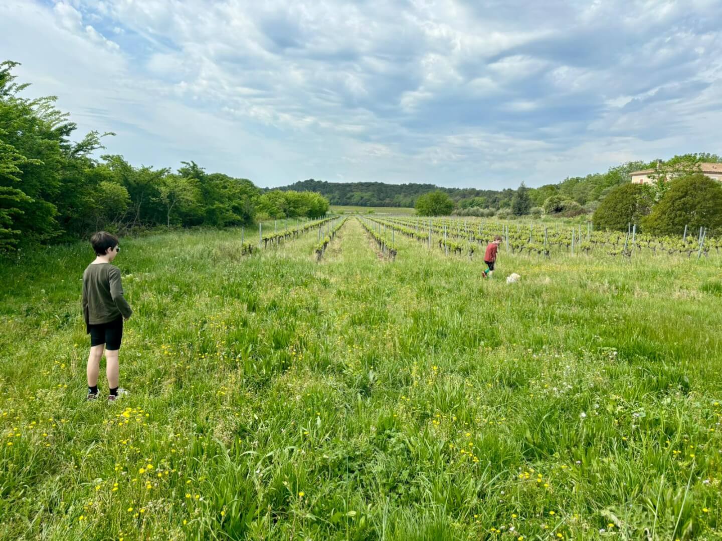 __wf_reserved_inherit