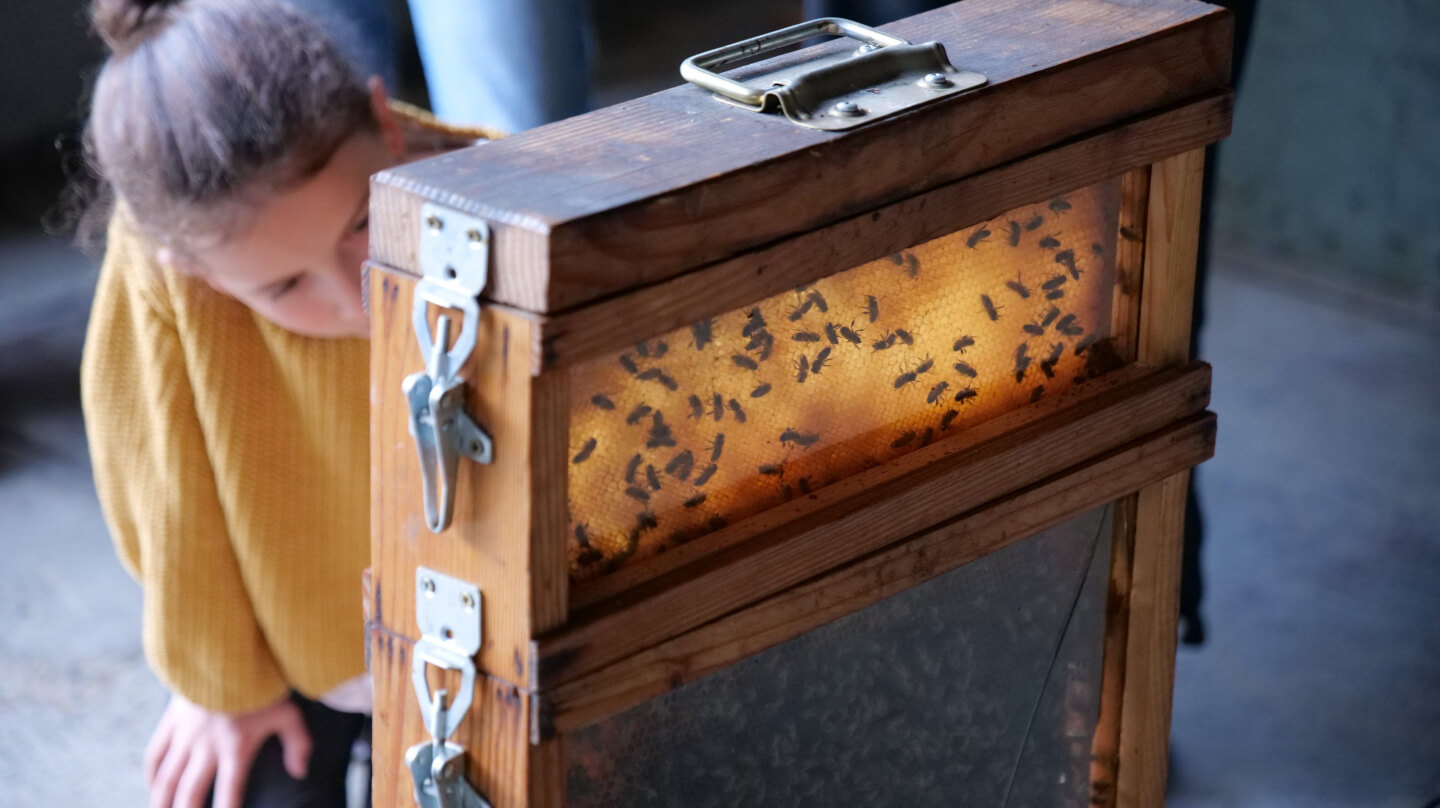 __wf_reserved_inherit