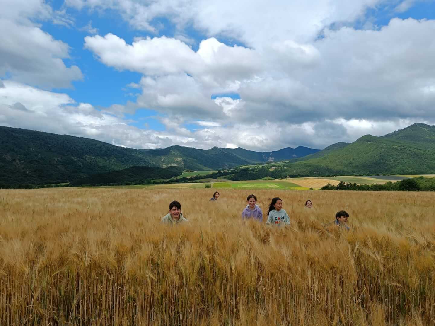 __wf_reserved_inherit