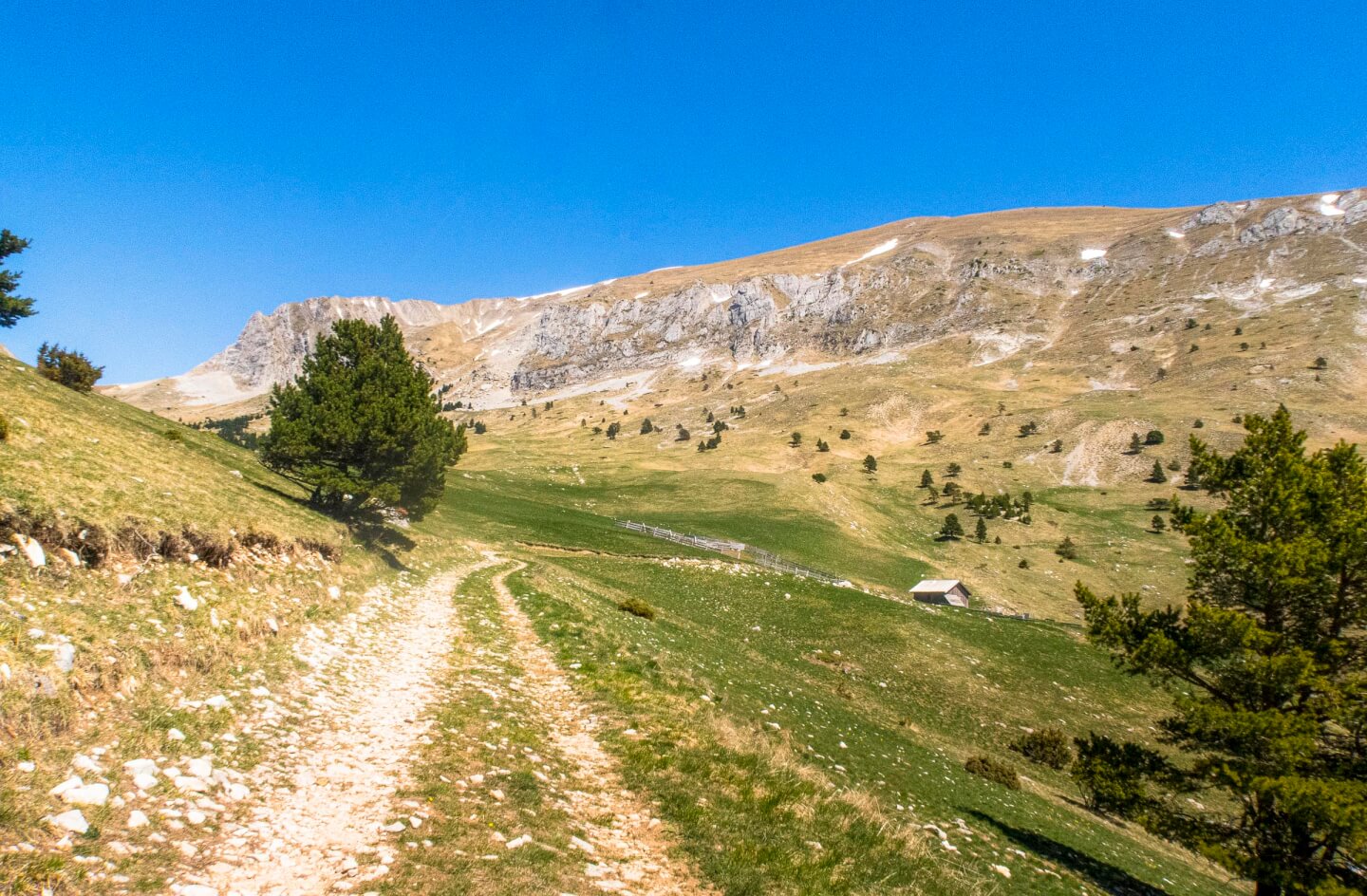 __wf_reserved_inherit