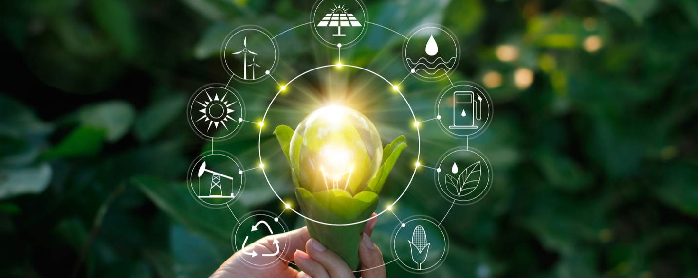 Ampoule lumineuse entourée d'icônes environnementales sur fond de végétation
