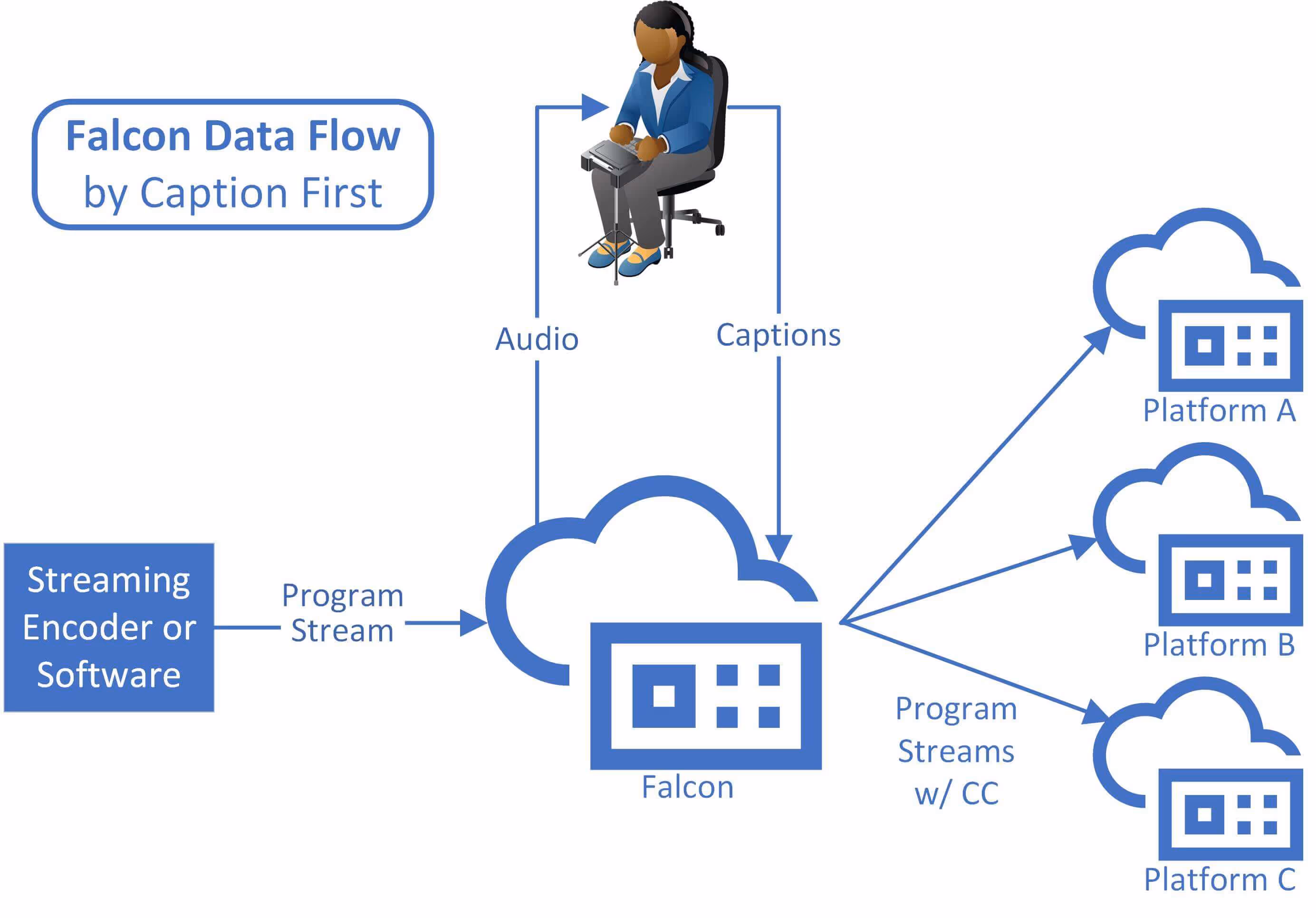 falcon data flow workflow diagram