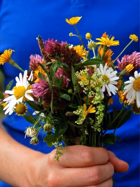 Hand holding a colorful bouquet of wildflowers including daisies and clover, against a blue shirt background.