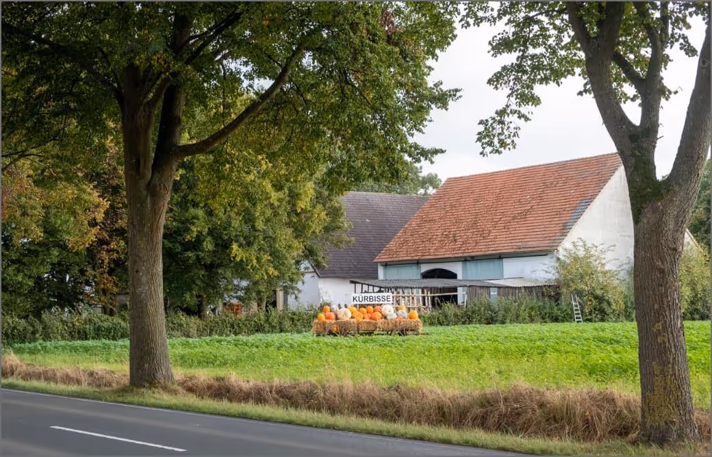 Farmhouse with red roof behind green field and display of pumpkins labeled KÜRBISSE near roadside.