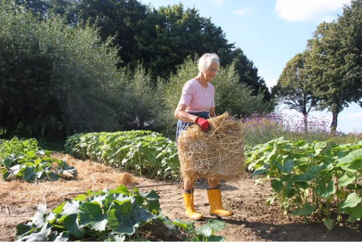 Older woman in yellow boots holding a bale of straw in a garden with green plants under blue sky.