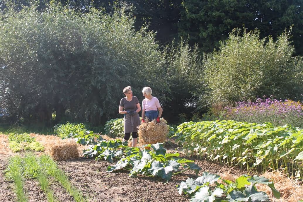 Two women working in a garden carrying hay bales among green plants and trees under sunlight.
