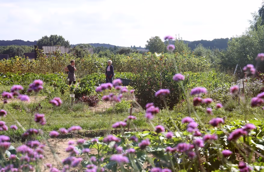 Two people talking in a garden with purple flowers and greenery under a bright sky.