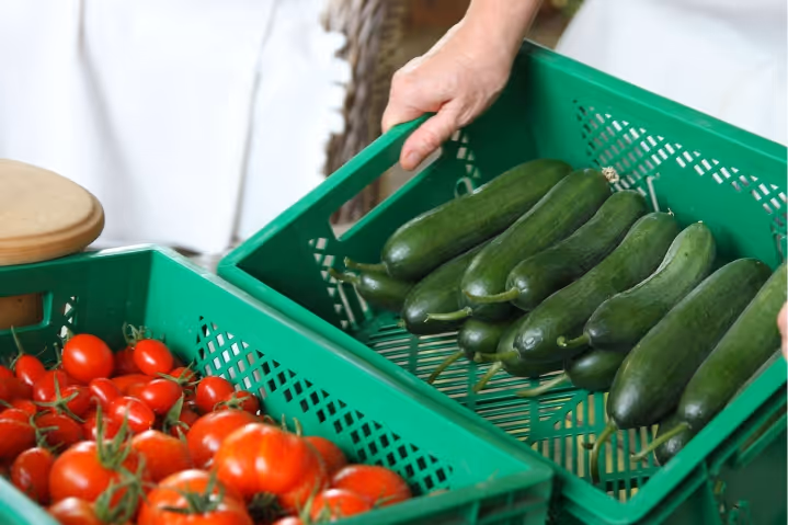 A person holding a green crate filled with fresh zucchinis next to another crate of red tomatoes.