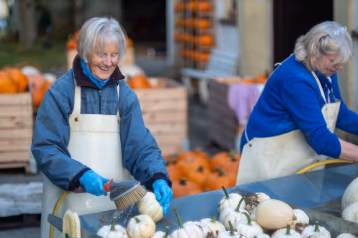 Two elderly women washing white pumpkins with brushes at an outdoor market stall.