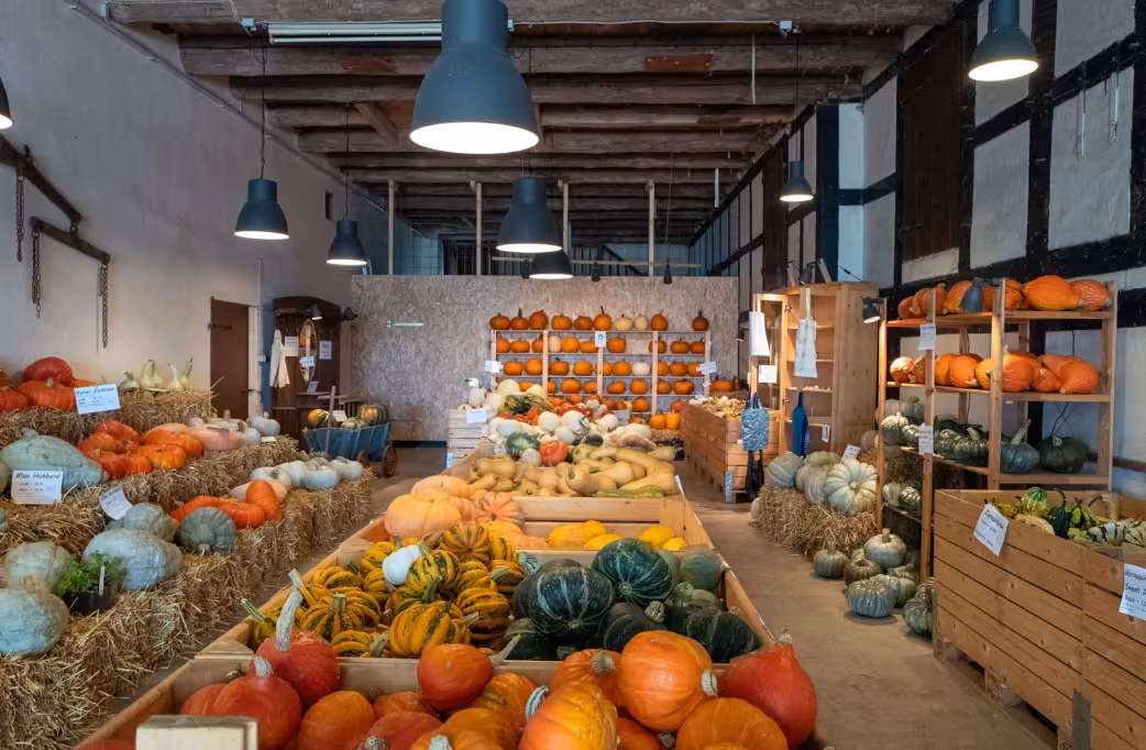 Indoor market with a variety of pumpkins and gourds displayed on wooden crates and hay bales.