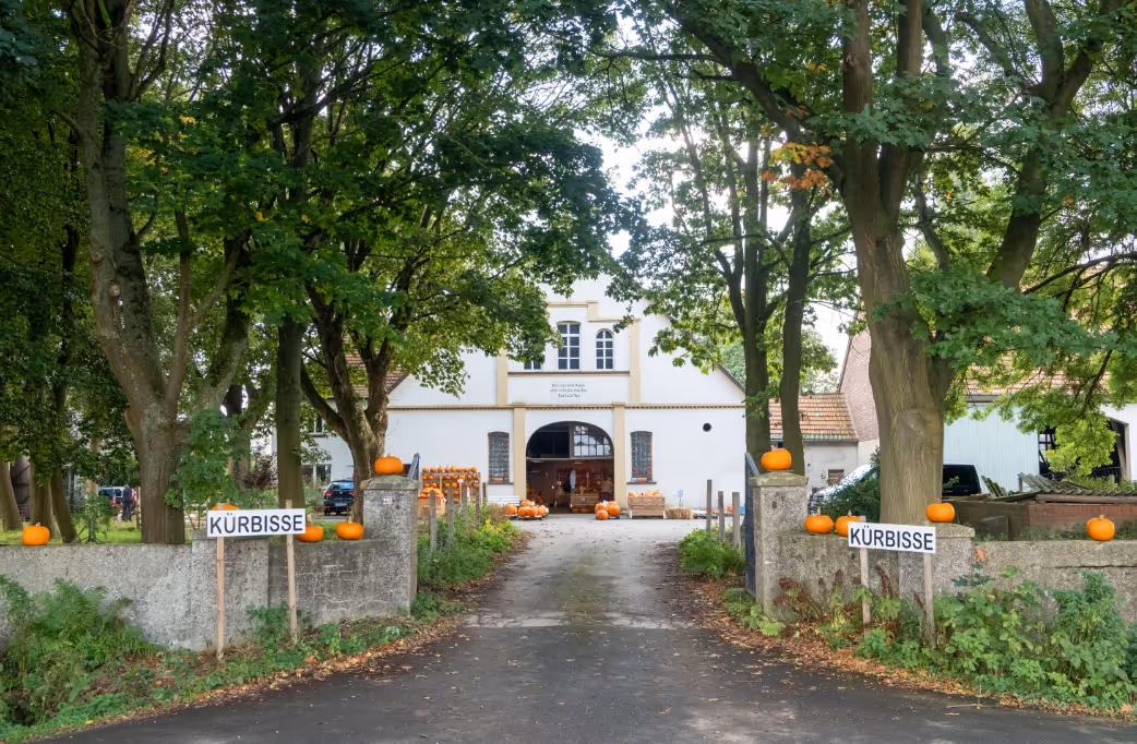 Entrance to farm with trees, pumpkins on walls and signs reading Kürbisse on both sides.
