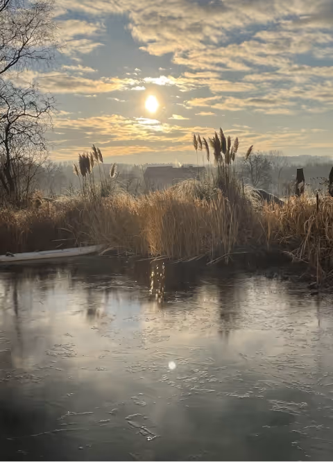 Sun shining through clouds over reeds by a partially frozen pond at sunrise or sunset.