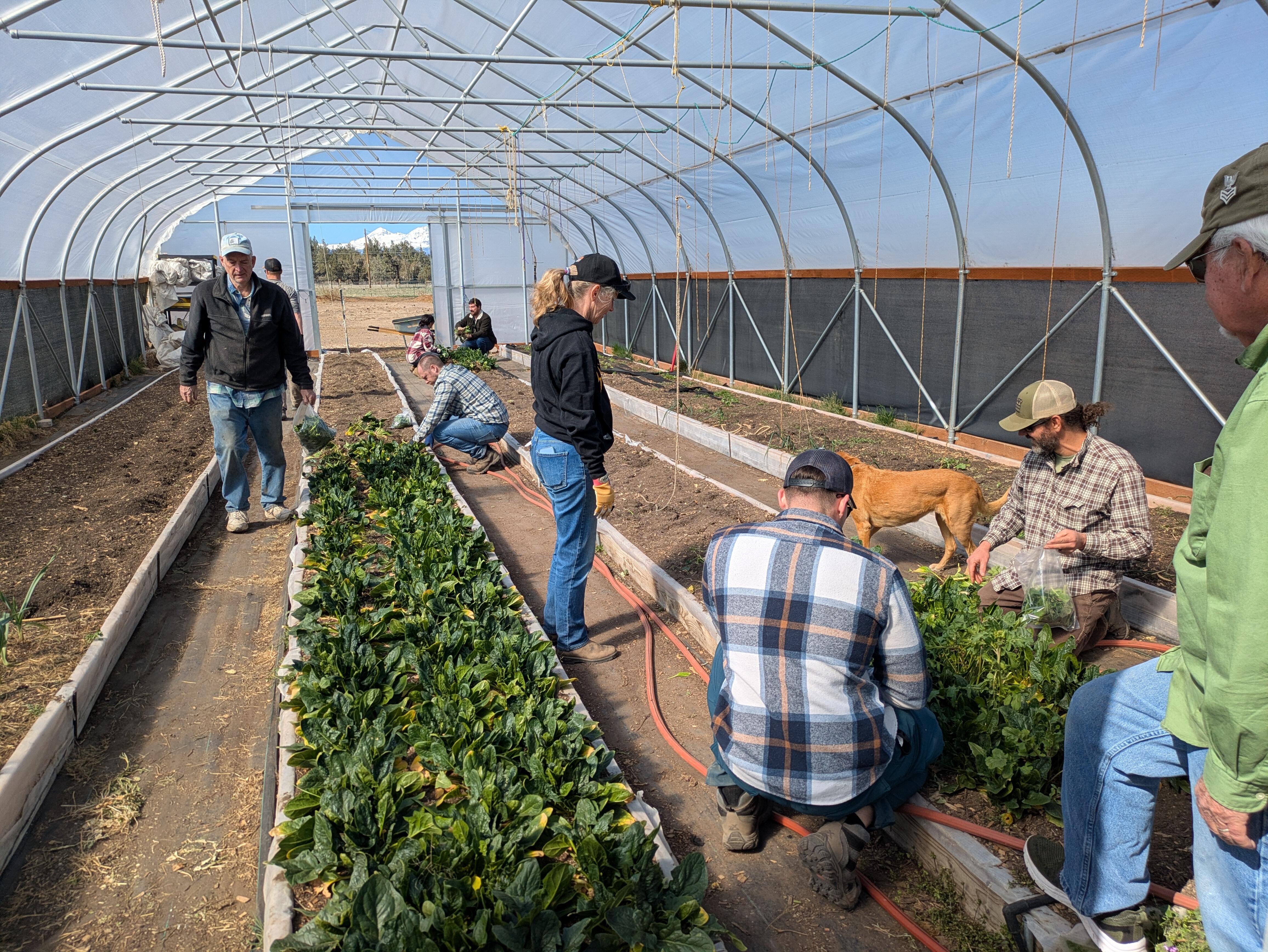 Growing Hope for Veterans in Central Oregon