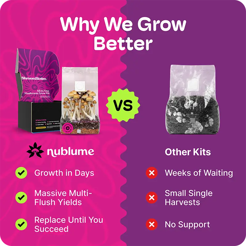 Mushroom grow kit infographics for amazon