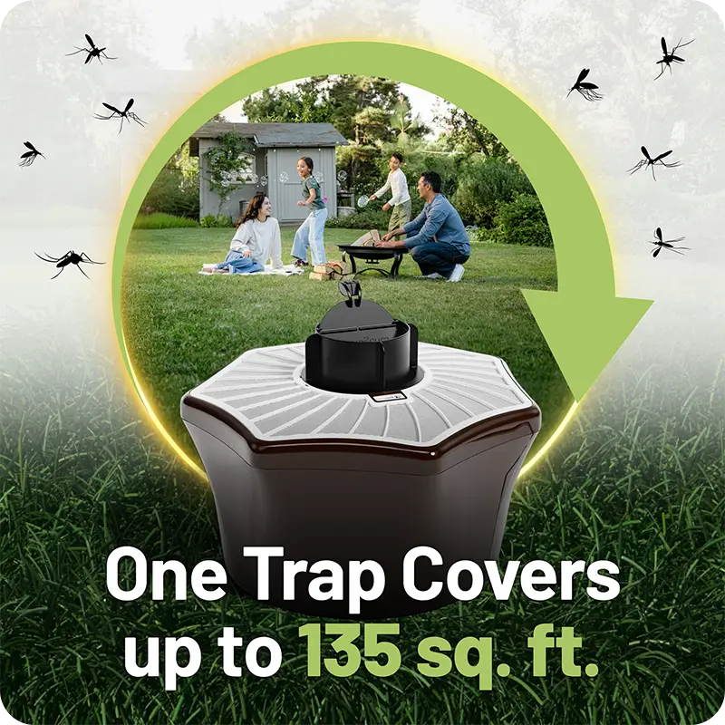 Mosquito trap infographics for amazon