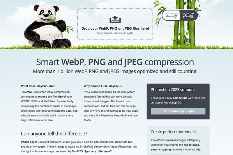 TinyPNG website