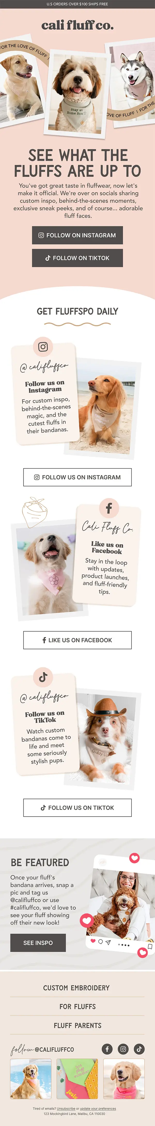 Email design example