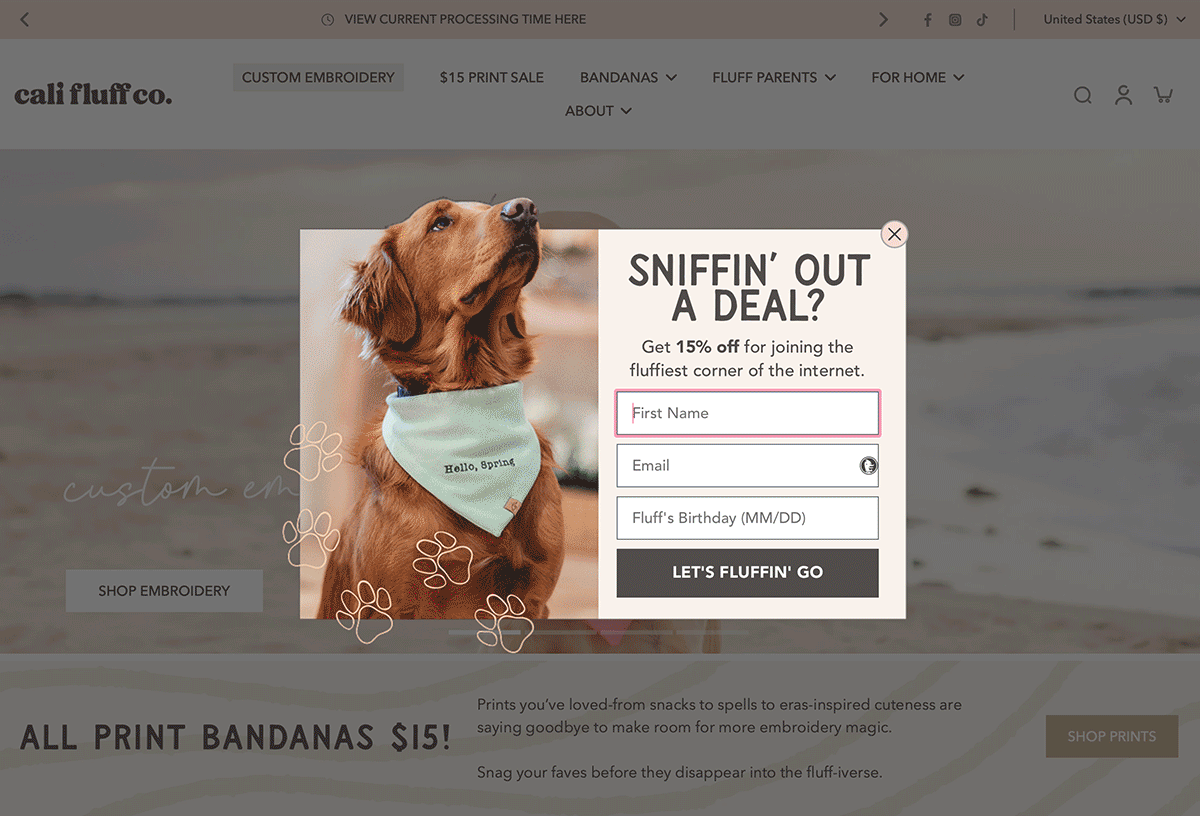 Pre-Purchase Welcome Popup Design