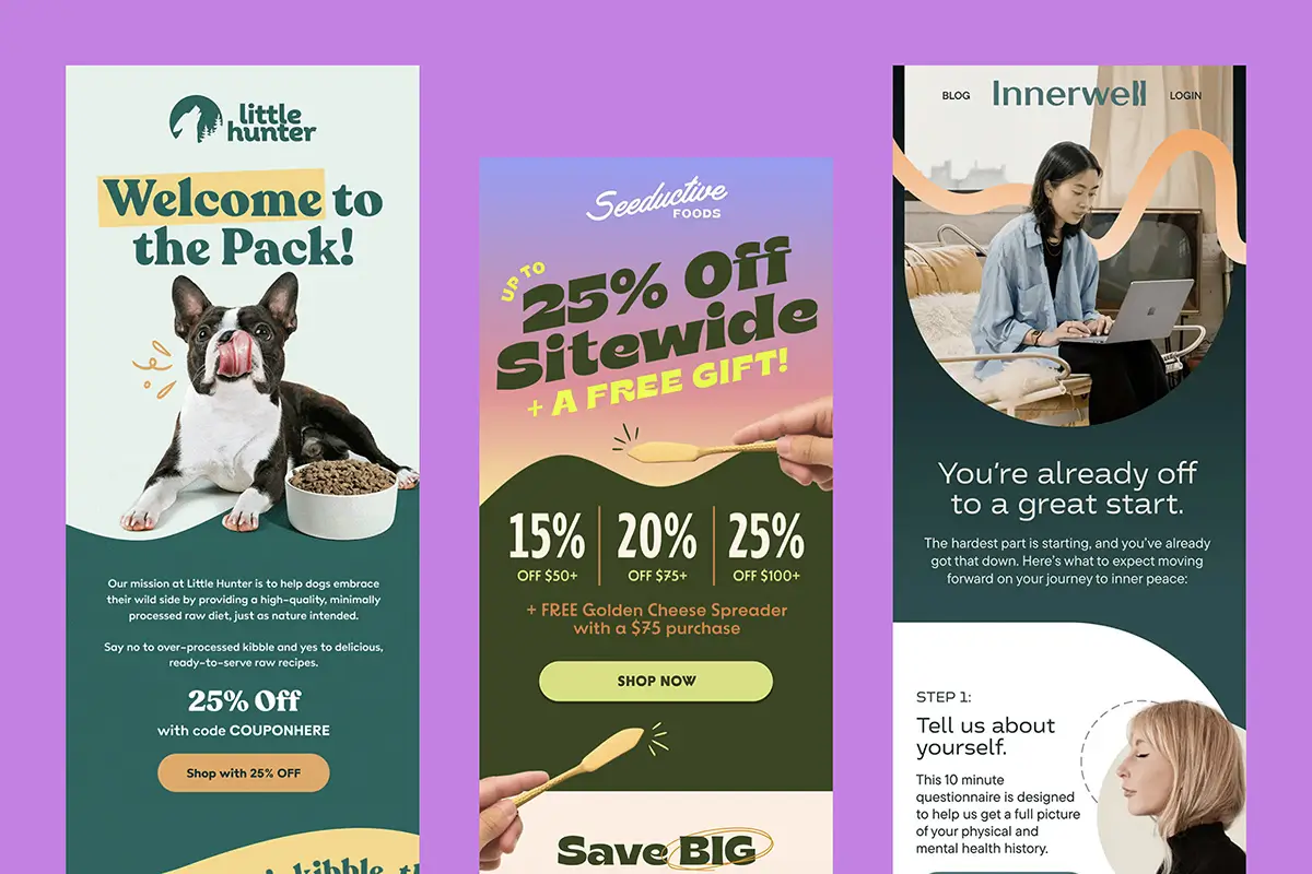 Professional Klaviyo Email Design