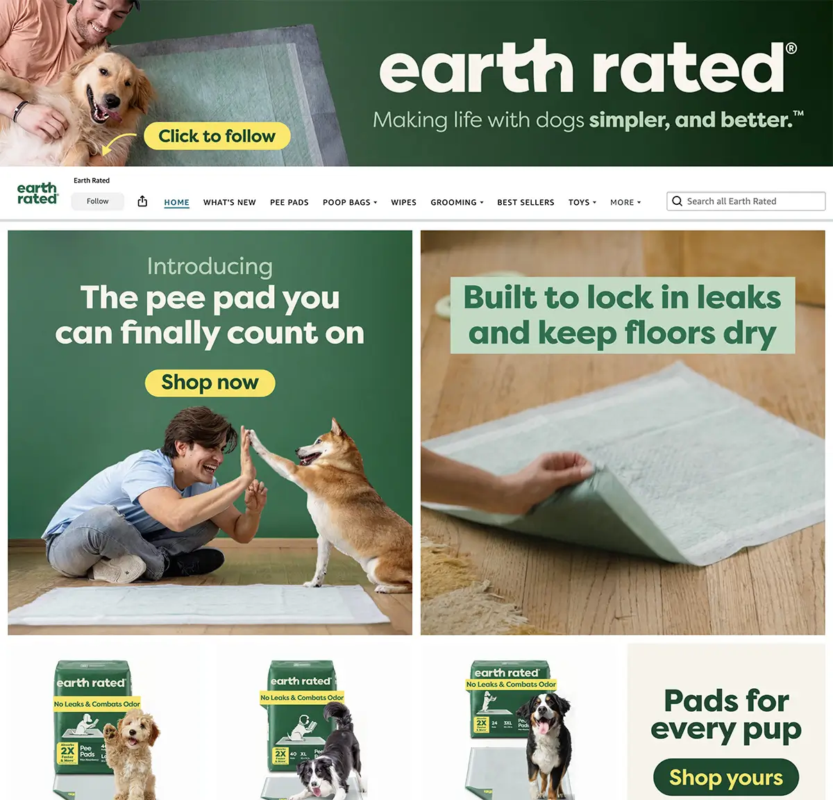 Example of Amazon Brand Store