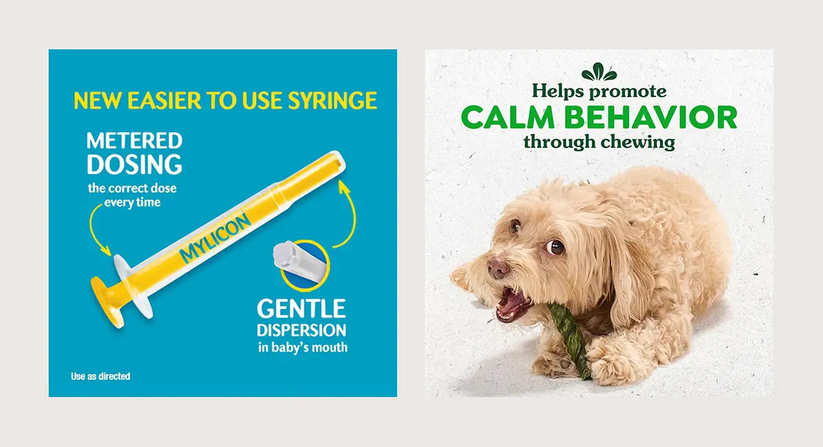 Amazon infographic examples