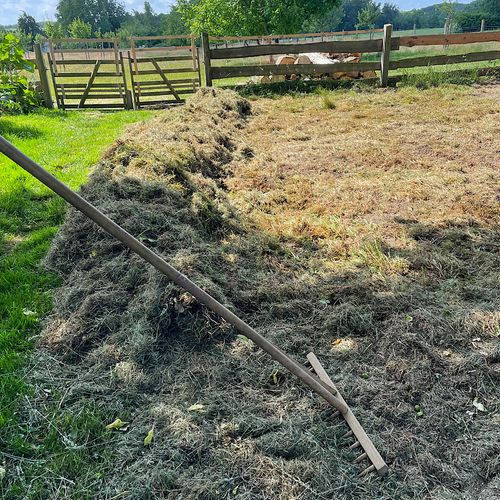 Wildblumenwiese auf nährstoffreichem Lehm?