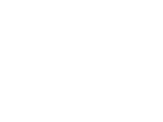 Wave Capital  Logo