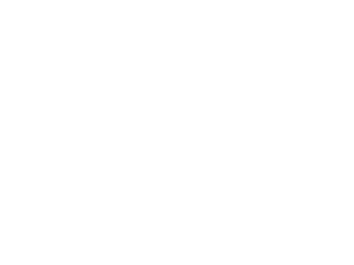 Consenys Mesh Logo