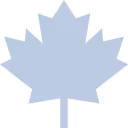 Simple light blue maple leaf icon with sharp points and symmetrical shape.